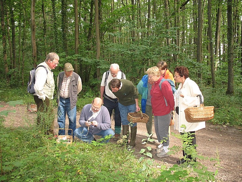 Myco Porte Baudet 11